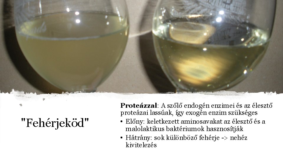 "Fehérjeköd" Proteázzal: A szőlő endogén enzimei és az élesztő proteázai lassúak, így exogén enzim "Fehérjeköd" Proteázzal: A szőlő endogén enzimei és az élesztő proteázai lassúak, így exogén enzim