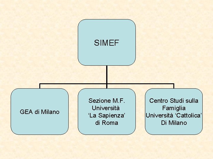 SIMEF GEA di Milano Sezione M. F. Università ‘La Sapienza’ di Roma Centro Studi