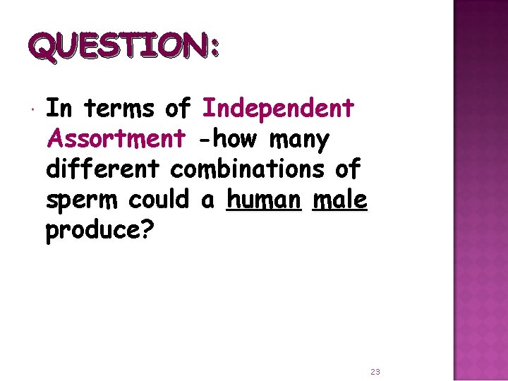 QUESTION: In terms of Independent Assortment -how many different combinations of sperm could a