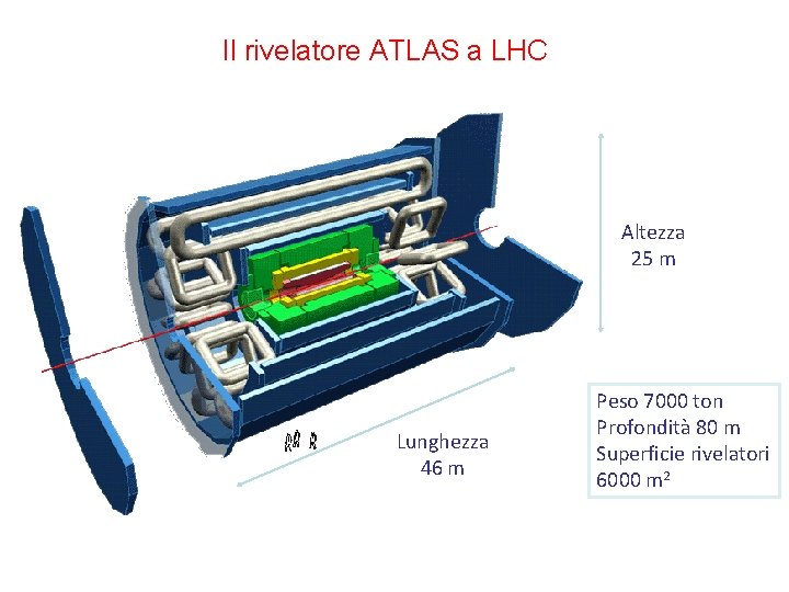 Il rivelatore ATLAS a LHC Altezza 25 m Lunghezza 46 m Peso 7000 ton