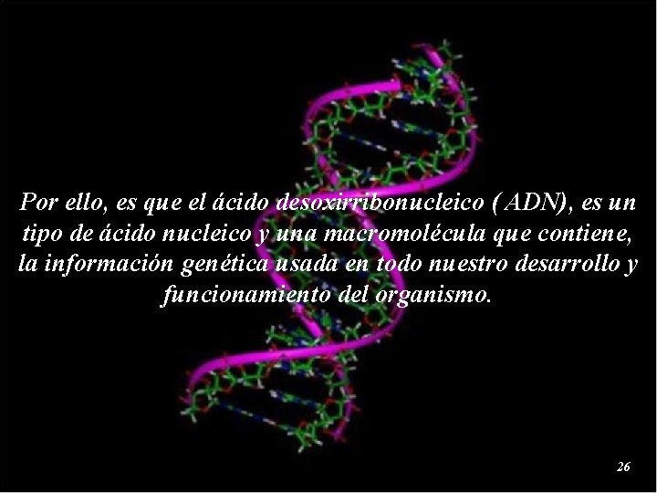 Por ello, es que el ácido desoxirribonucleico ( ADN), es un tipo de ácido