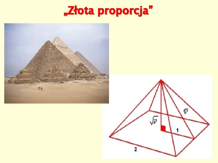 „Złota proporcja” 