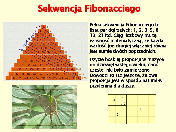 Sekwencja Fibonacciego Pełna sekwencja Fibonacciego to lista par dojrzałych: 1, 2, 3, 5, 8,
