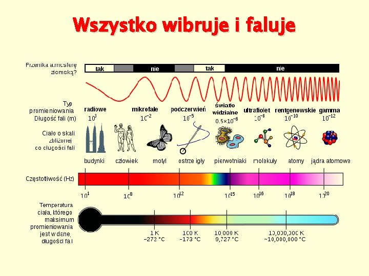 Wszystko wibruje i faluje 