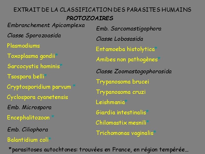 EXTRAIT DE LA CLASSIFICATION DES PARASITES HUMAINS PROTOZOAIRES Embranchement Apicomplexa Emb. Sarcomastigophora Classe Sporozoasida
