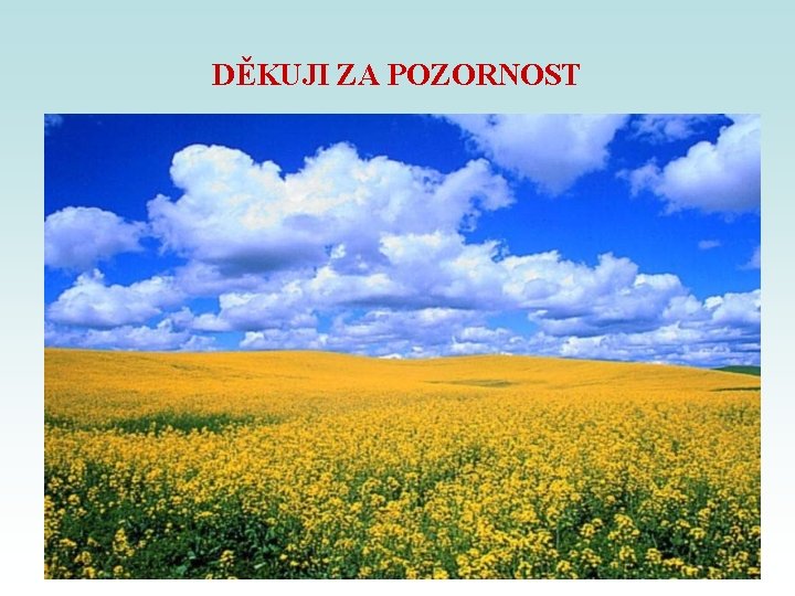 DĚKUJI ZA POZORNOST DĚKUJI ZA POZORNOST