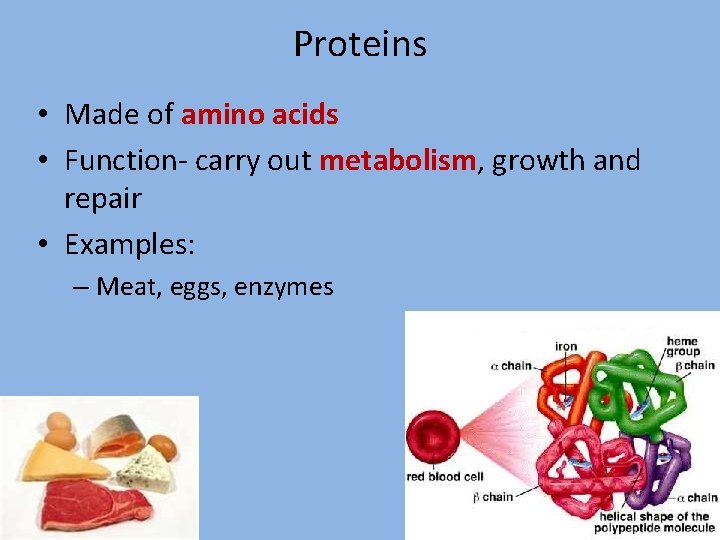 Proteins • Made of amino acids • Function- carry out metabolism, growth and repair