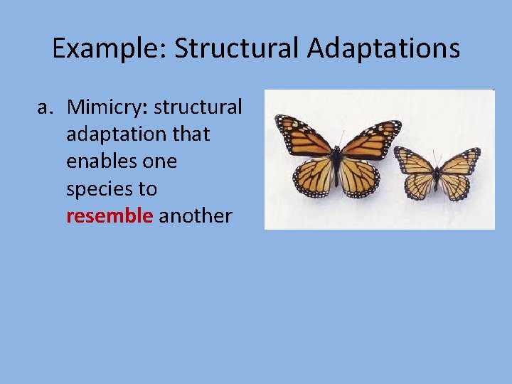 Example: Structural Adaptations a. Mimicry: structural adaptation that enables one species to resemble another