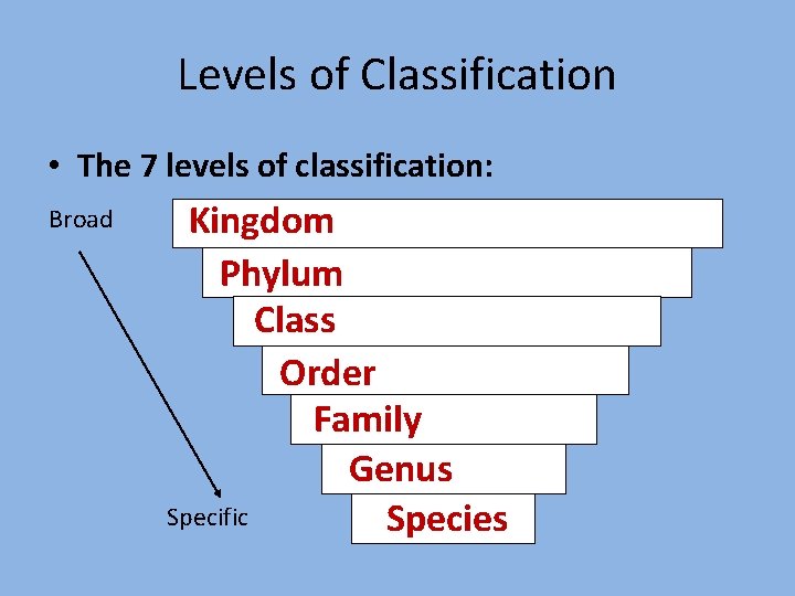 Levels of Classification • The 7 levels of classification: Broad Kingdom Phylum Class Order