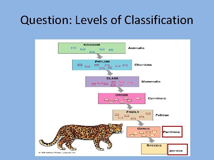 Question: Levels of Classification 