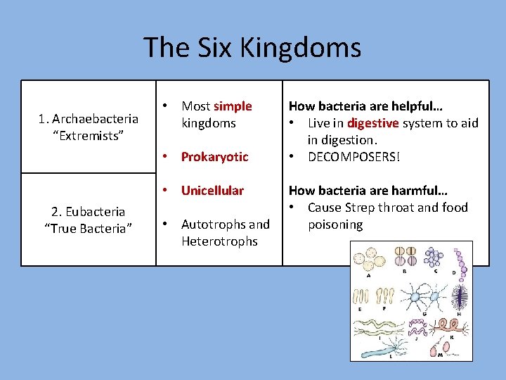 The Six Kingdoms 1. Archaebacteria “Extremists” • Most simple kingdoms • Prokaryotic • Unicellular