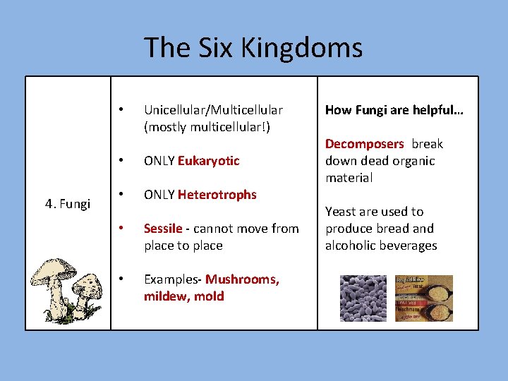 The Six Kingdoms • 4. Fungi Unicellular/Multicellular (mostly multicellular!) • ONLY Eukaryotic • ONLY