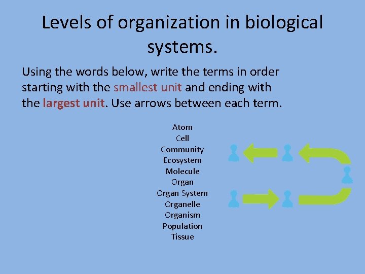 Levels of organization in biological systems. Using the words below, write the terms in