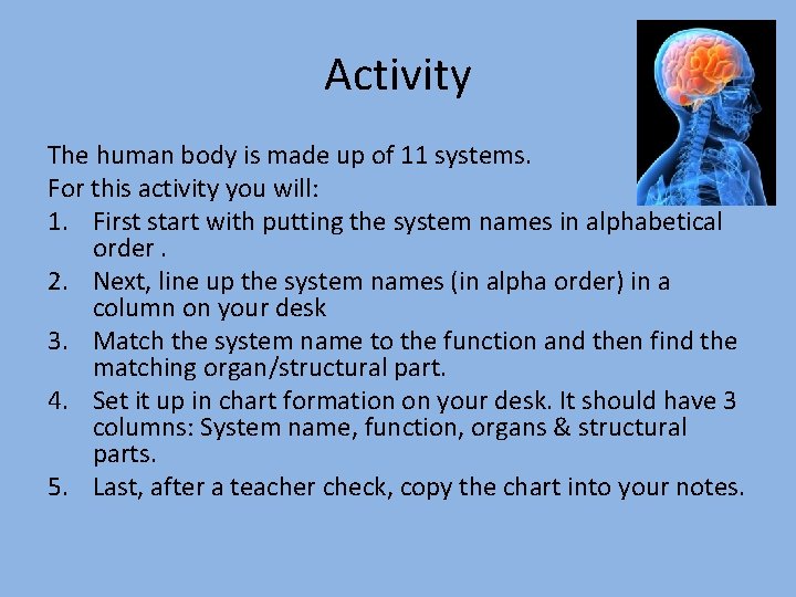 Activity The human body is made up of 11 systems. For this activity you