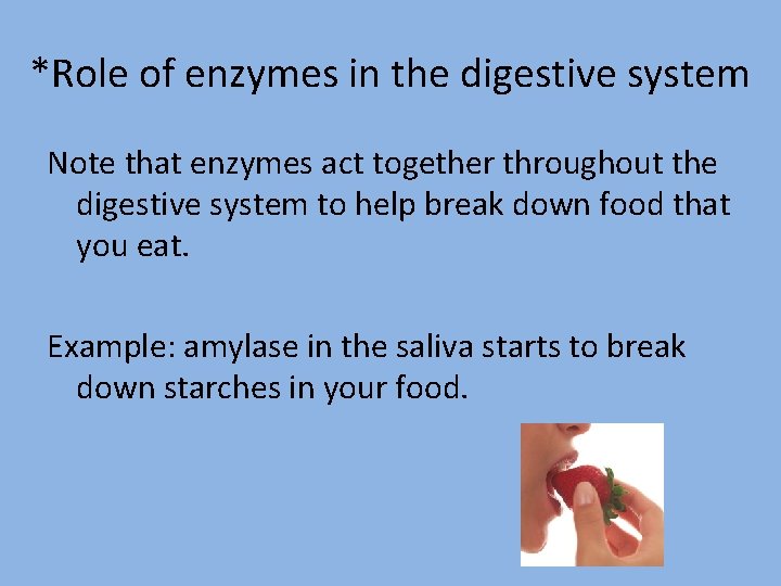 *Role of enzymes in the digestive system Note that enzymes act together throughout the