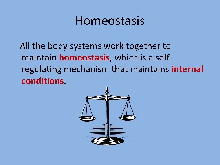 Homeostasis All the body systems work together to maintain homeostasis, which is a selfregulating