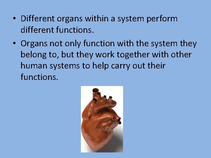  • Different organs within a system perform different functions. • Organs not only