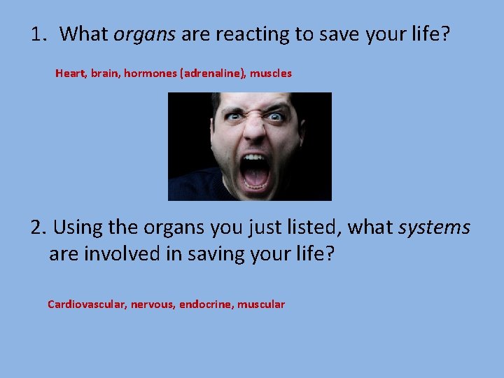 1. What organs are reacting to save your life? Heart, brain, hormones (adrenaline), muscles