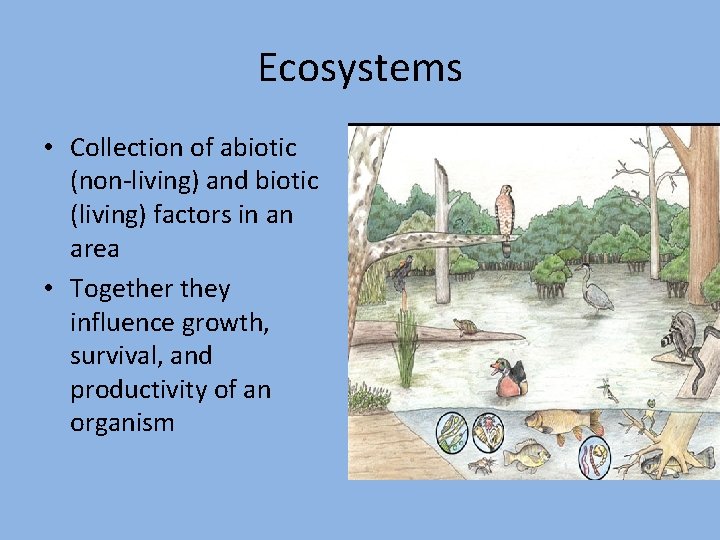 Ecosystems • Collection of abiotic (non-living) and biotic (living) factors in an area •