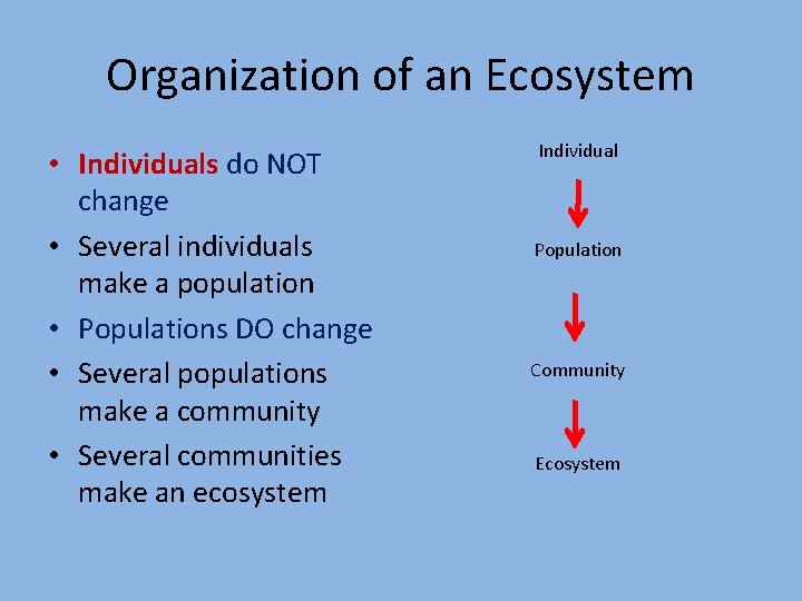 Organization of an Ecosystem • Individuals do NOT change • Several individuals make a