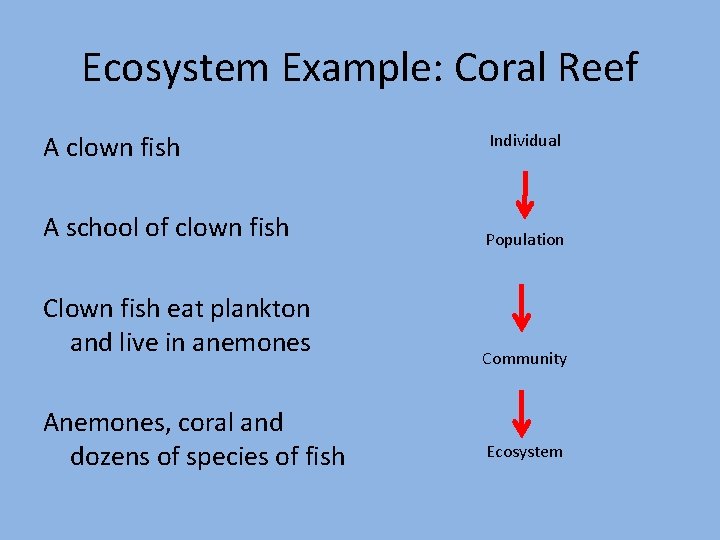 Ecosystem Example: Coral Reef A clown fish A school of clown fish Clown fish