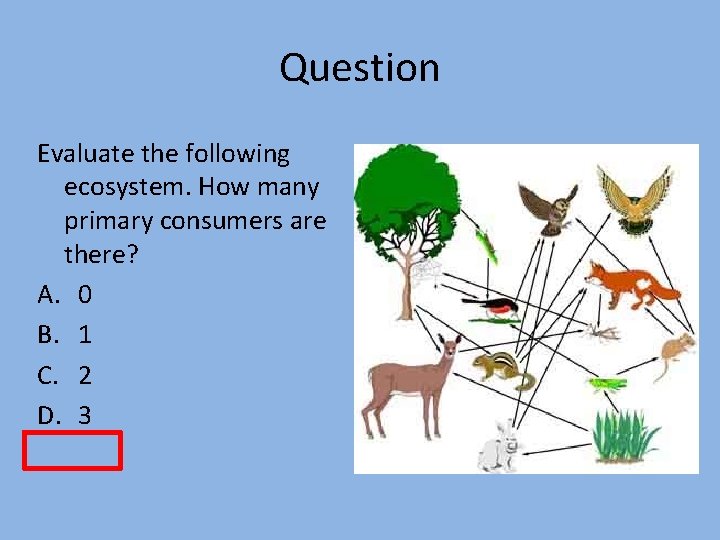 Question Evaluate the following ecosystem. How many primary consumers are there? A. 0 B.