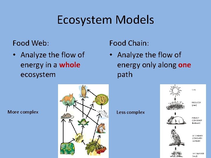 Ecosystem Models Food Web: • Analyze the flow of energy in a whole ecosystem