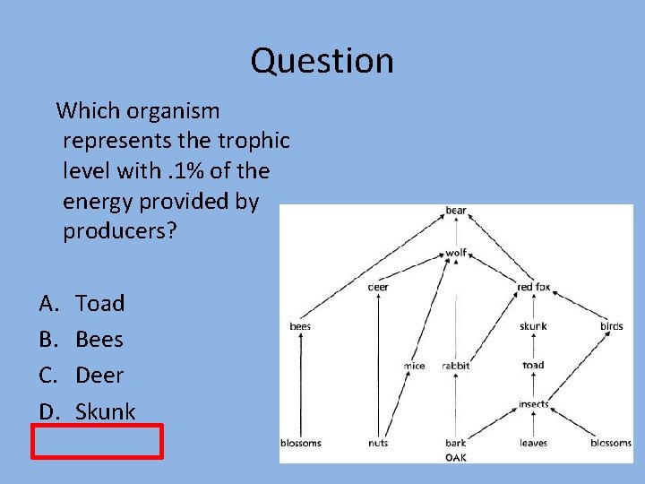 Question Which organism represents the trophic level with. 1% of the energy provided by