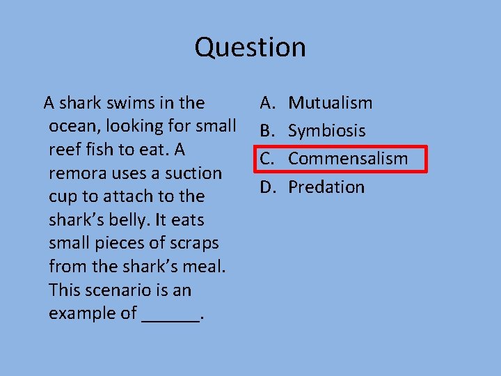 Question A shark swims in the ocean, looking for small reef fish to eat.