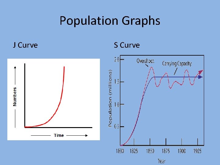 Population Graphs J Curve S Curve 