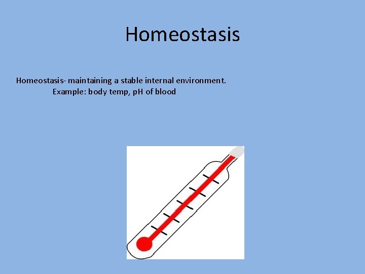 Homeostasis- maintaining a stable internal environment. Example: body temp, p. H of blood 