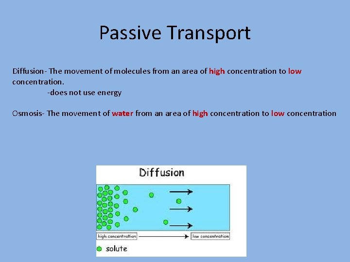 Passive Transport Diffusion- The movement of molecules from an area of high concentration to