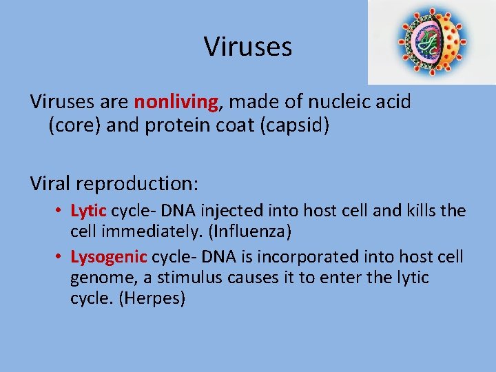 Viruses are nonliving, made of nucleic acid (core) and protein coat (capsid) Viral reproduction: