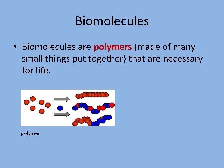 Biomolecules • Biomolecules are polymers (made of many small things put together) that are