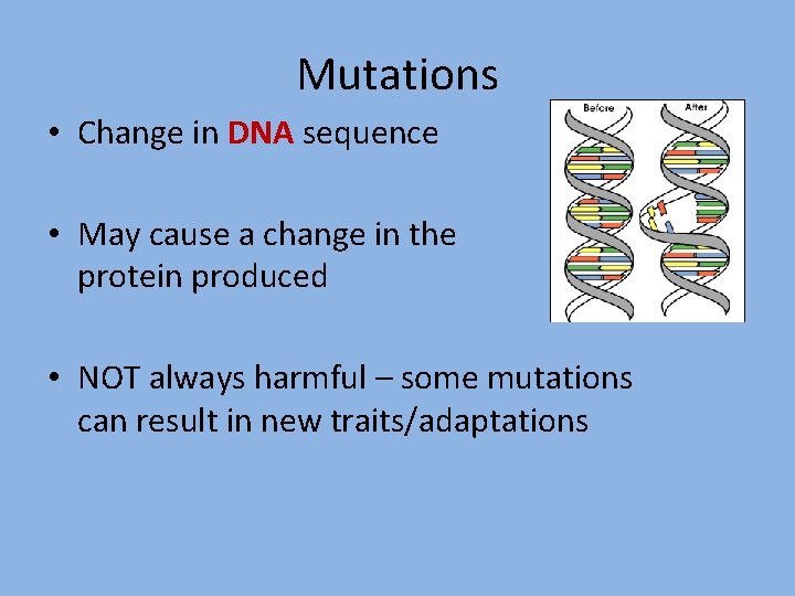 Mutations • Change in DNA sequence • May cause a change in the protein