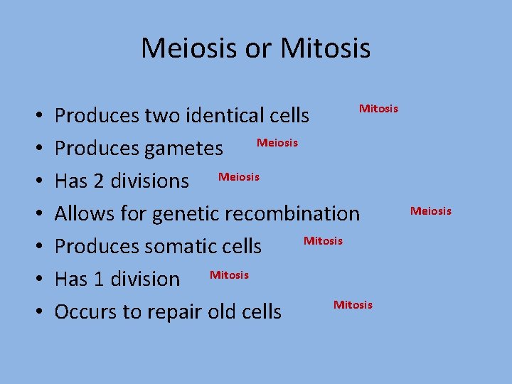 Meiosis or Mitosis • • Mitosis Produces two identical cells Produces gametes Meiosis Has