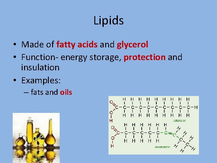 Lipids • Made of fatty acids and glycerol • Function- energy storage, protection and