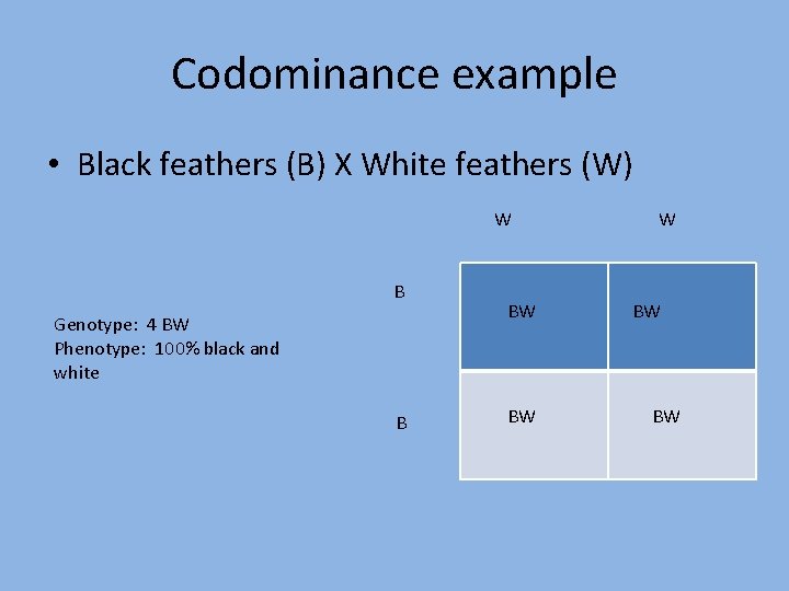 Codominance example • Black feathers (B) X White feathers (W) W B Genotype: 4