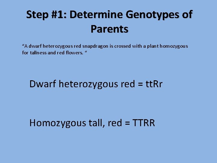 Step #1: Determine Genotypes of Parents “A dwarf heterozygous red snapdragon is crossed with