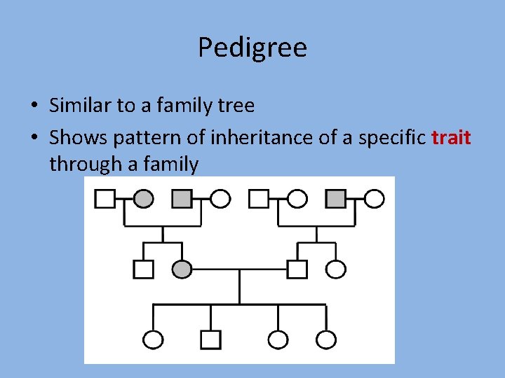 Pedigree • Similar to a family tree • Shows pattern of inheritance of a