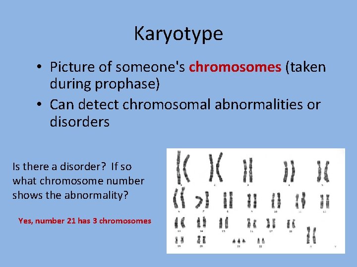 Karyotype • Picture of someone's chromosomes (taken during prophase) • Can detect chromosomal abnormalities