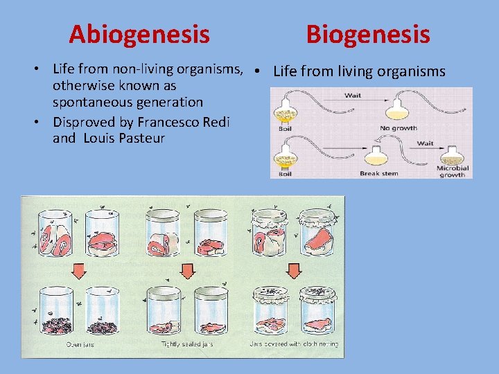 Abiogenesis Biogenesis • Life from non-living organisms, • Life from living organisms otherwise known