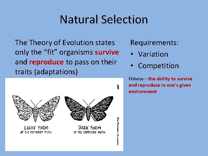 Natural Selection Theory of Evolution states only the “fit” organisms survive and reproduce to