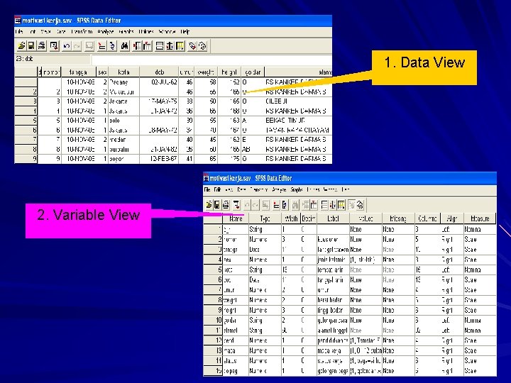 1. Data View 2. Variable View 