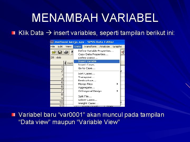 MENAMBAH VARIABEL Klik Data insert variables, seperti tampilan berikut ini: Variabel baru “var 0001”