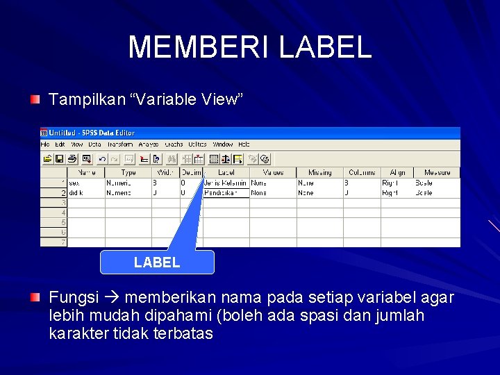 MEMBERI LABEL Tampilkan “Variable View” LABEL Fungsi memberikan nama pada setiap variabel agar lebih