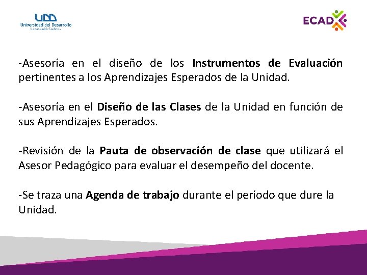 -Asesoría en el diseño de los Instrumentos de Evaluación pertinentes a los Aprendizajes Esperados