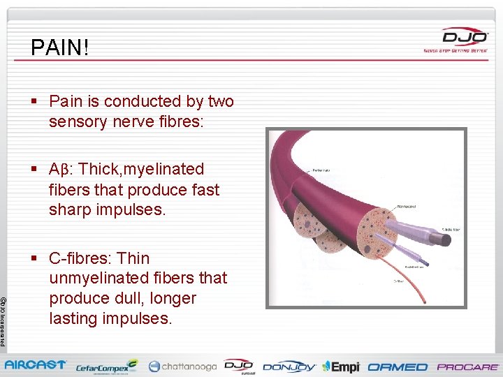 PAIN! § Pain is conducted by two sensory nerve fibres: § Aβ: Thick, myelinated