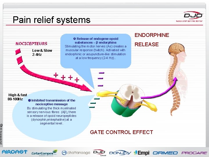 Pain relief systems Low & Slow 2 -4 Hz Release of endogene opoid substances