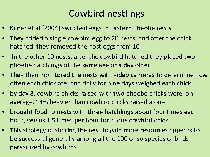 Cowbird nestlings • Kilner et al (2004) switched eggs in Eastern Pheobe nests •